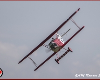 TSR Watermark - 0367